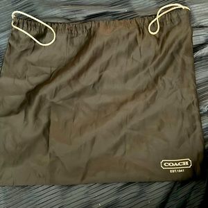 Coach shoes tote bag